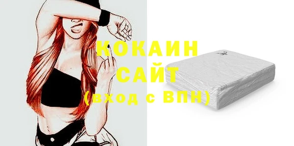 ешки Алексин