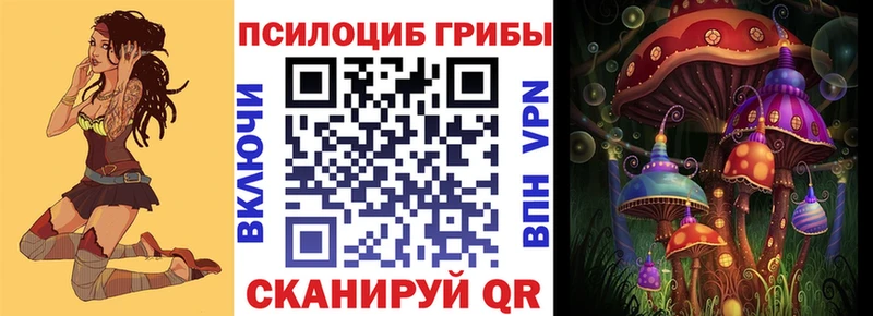 купить закладку  Николаевск-на-Амуре  Псилоцибиновые грибы Magic Shrooms 